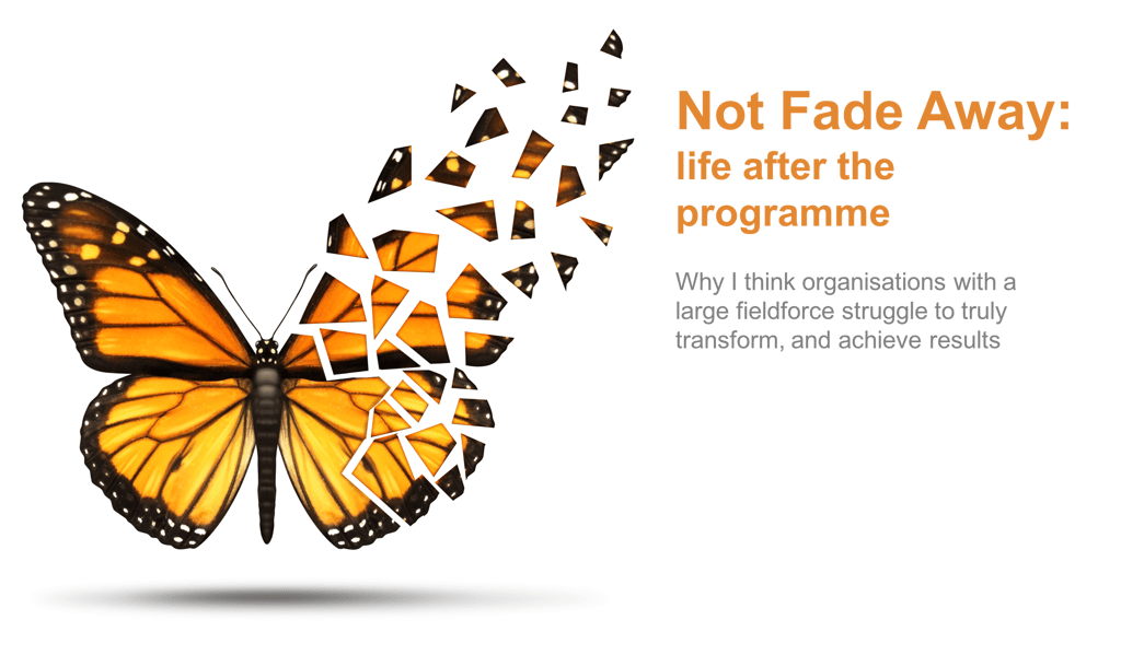 Not Fade Away Landing Page Header Image.png Not Fade Away Landing Page Header Image.png